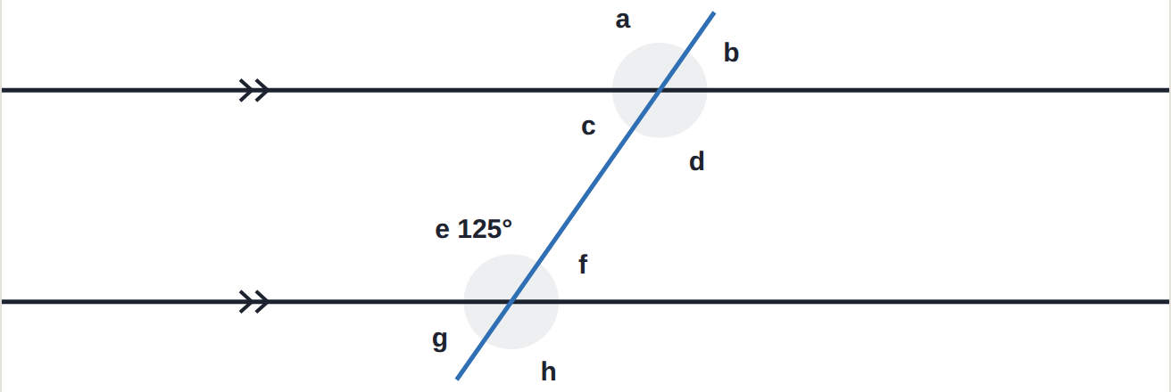 Two parallel lines. e = 125^\circ.