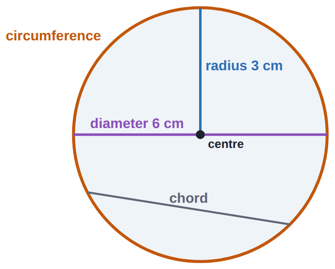 Centre, radius (3 cm), diameter (6 cm: two radii), a chord, and the circumference all the way round.