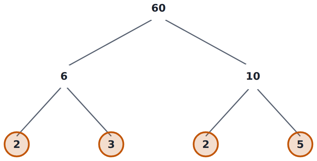 A factor tree for 60 starts with a factor pair and splits until every branch ends in a circled prime: 60 = 2^2 \times 3 \times 5.