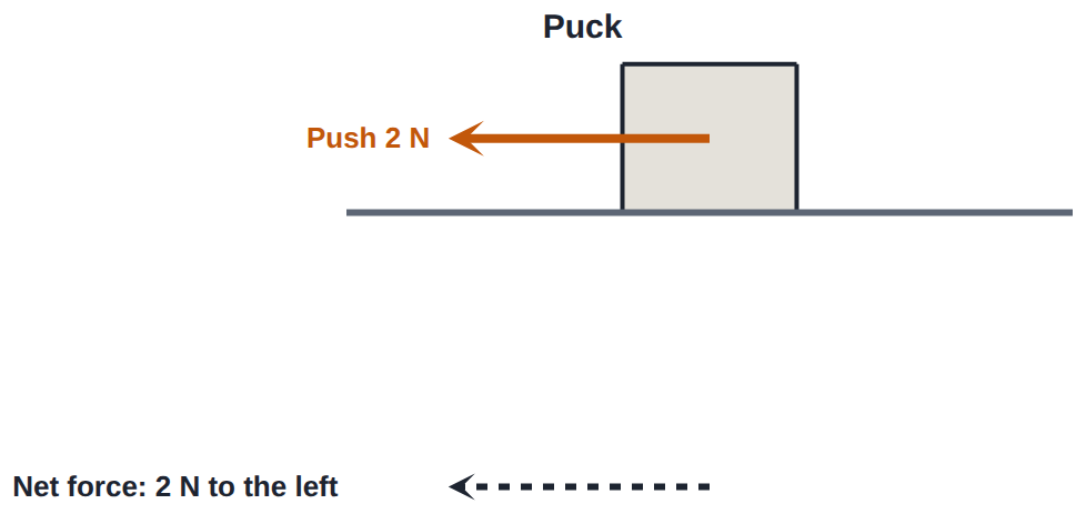 Net force 2 N to the left: the motion changes towards the left, whichever way the puck was moving.