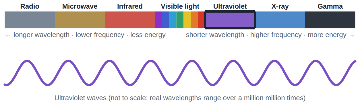 The electromagnetic spectrum: from radio waves (long, low energy) to gamma rays (short, high energy). Visible light is a narrow band in the middle.