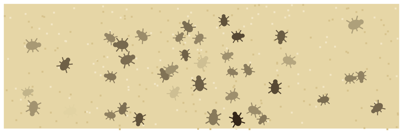 A population of beetles: each one a slightly different colour, on pale ground.